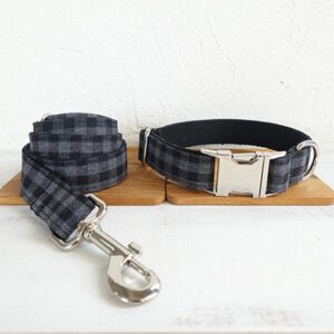 Pet Training Leash: The Ultimate Tool For Leash Training Your Dog