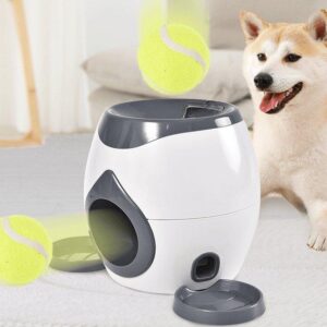Automatic Pet Training And Feeding System